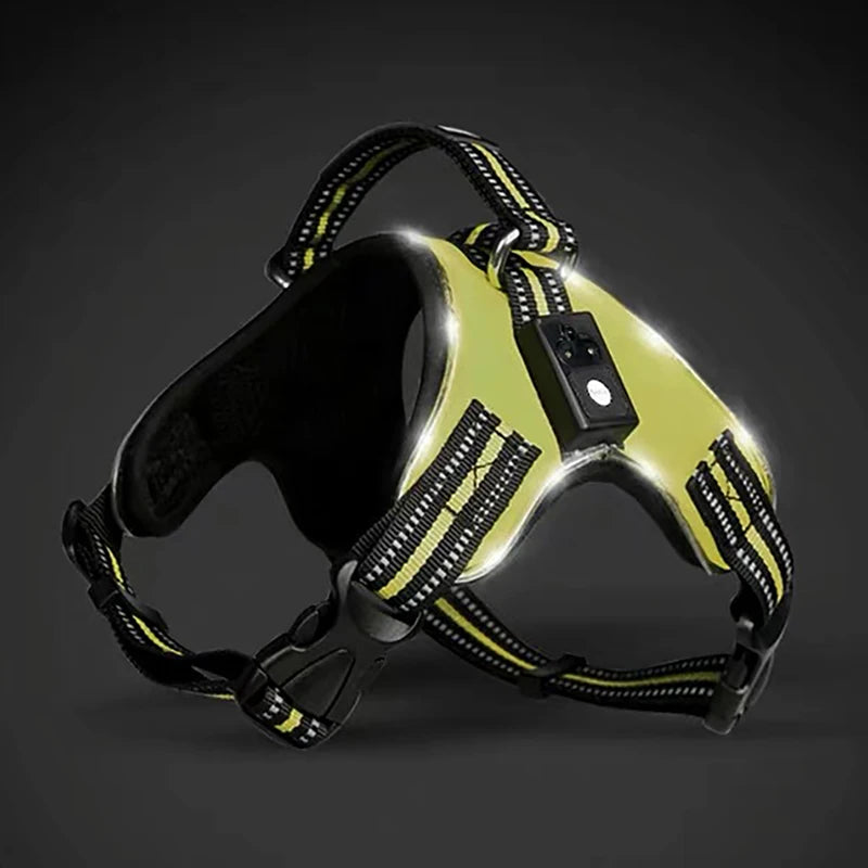 Rechargeable LED Harness for Pets Dog Tailup Nylon Led Flashing Light Dog Harness Collar Pet Safety Leash Belt Dog Accessories