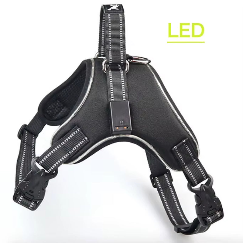 Rechargeable LED Harness for Pets Dog Tailup Nylon Led Flashing Light Dog Harness Collar Pet Safety Leash Belt Dog Accessories