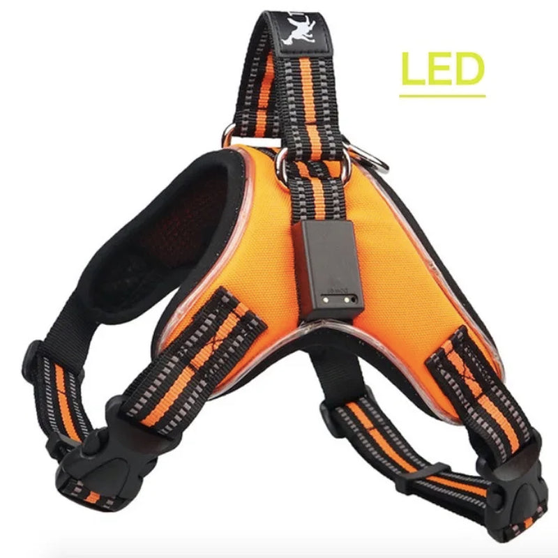 Rechargeable LED Harness for Pets Dog Tailup Nylon Led Flashing Light Dog Harness Collar Pet Safety Leash Belt Dog Accessories
