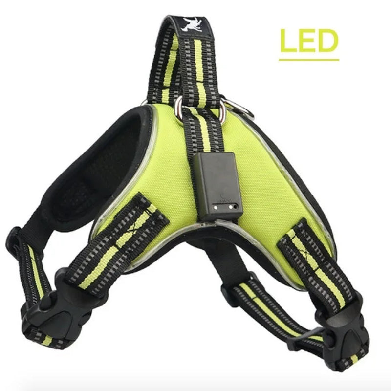 Rechargeable LED Harness for Pets Dog Tailup Nylon Led Flashing Light Dog Harness Collar Pet Safety Leash Belt Dog Accessories